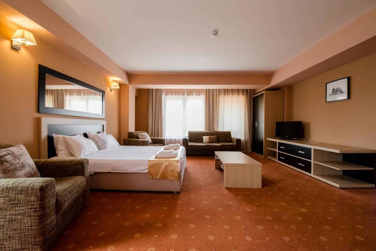 Отель Hotel Oxford Inns&Suites Тимишоара-34